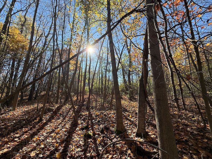 Wayne_18.11_Koehler Photo 18