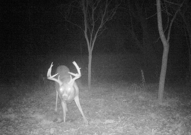 FF6CECCC-AFFC-4F9B-96B7-F57164D7C65B