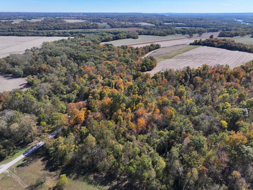 Copy of DJI_20251031130338_0771_D