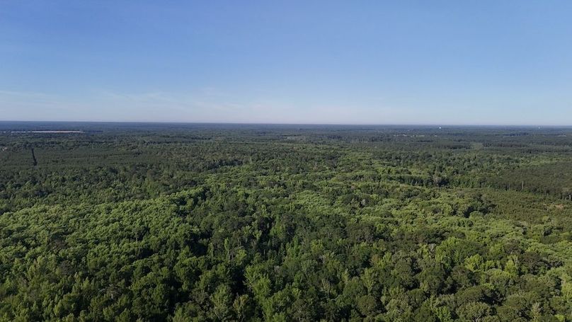 Copy of DJI_20250531212428_0570_D