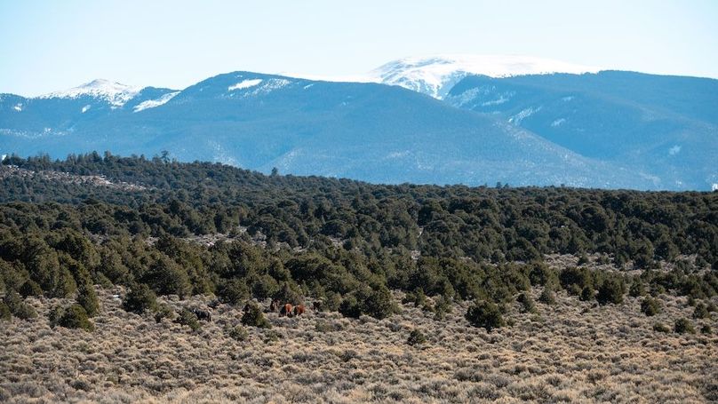 09 - Eastern View with Wild Horses