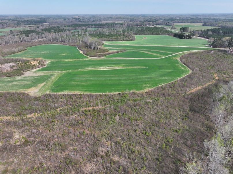 Copy of DJI_20260303062746_0519_D