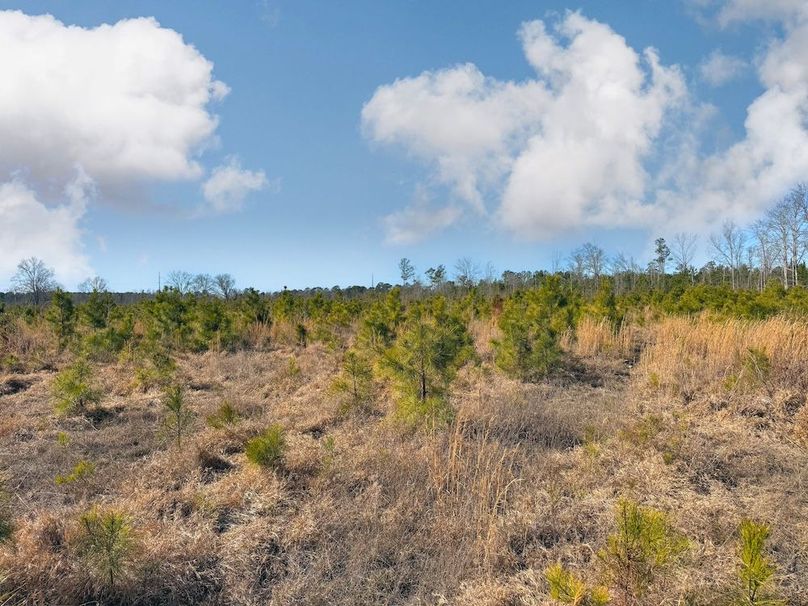 85CA77DB-BCFD-4449-A3B5-CB490136BD07