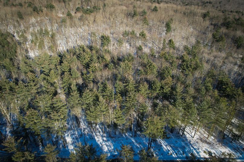 Tioga_11.9_Kilroy_Photos_3