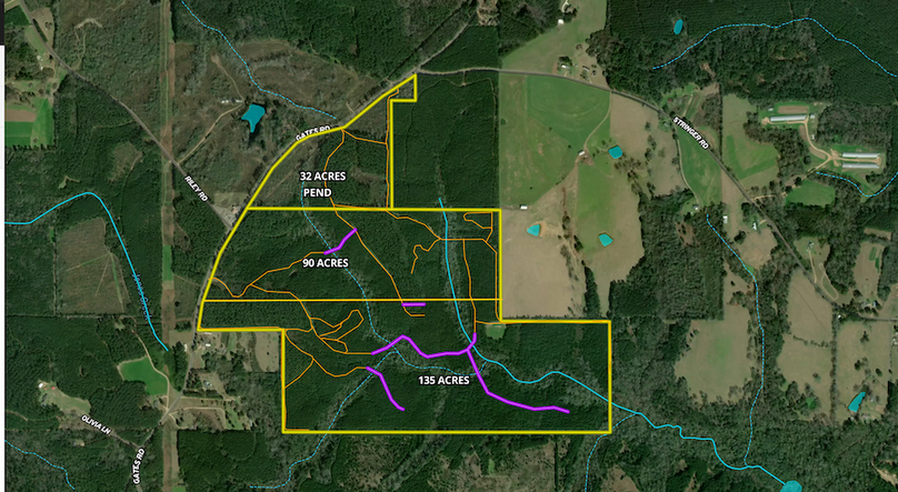 Screenshot 2024-08-18 at 8.54.09 PM