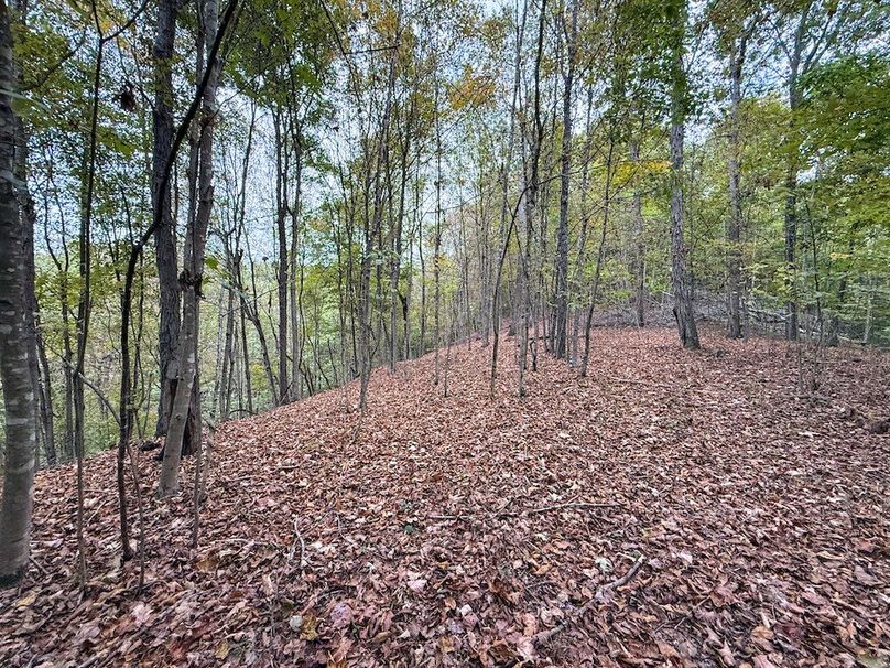 Greenup 77.28 Holsinger-38