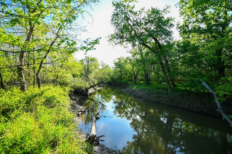 vandalia 450 (2)-3020