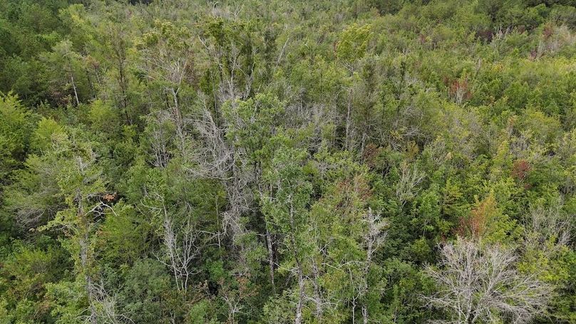 dji_fly_20250715_111108_0593_1752592274806_photo