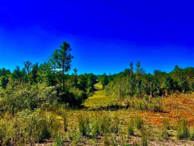 C9E757F0-1607-42B1-959A-444DCCFFE72B_1_105_c