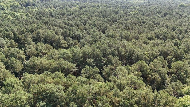 DJI_20250627094618_0091_D