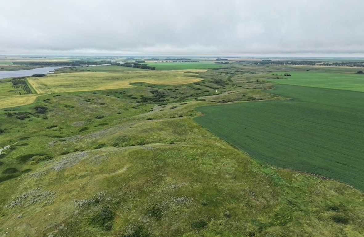 Copy of DJI_20250704140934_0619_D