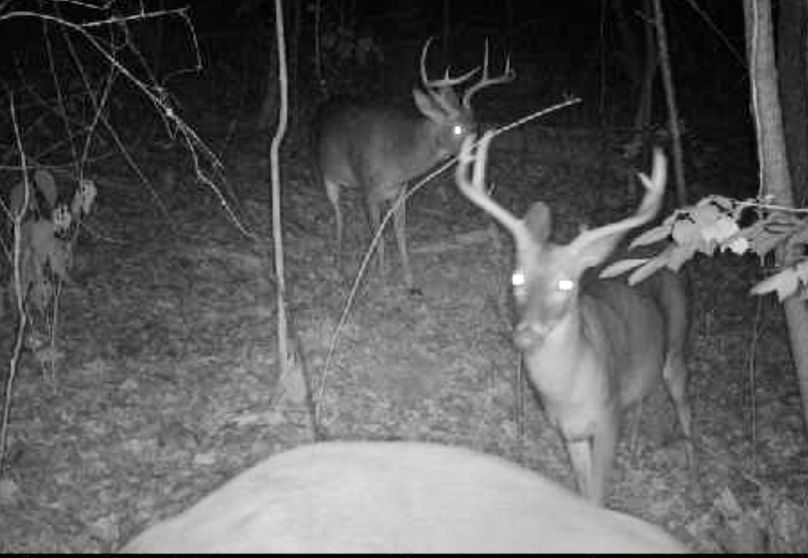 Screenshot_20231015_095925