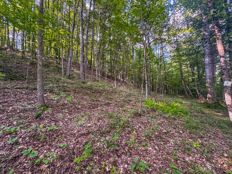 Lewis, WV 82.87 AC Barger-107