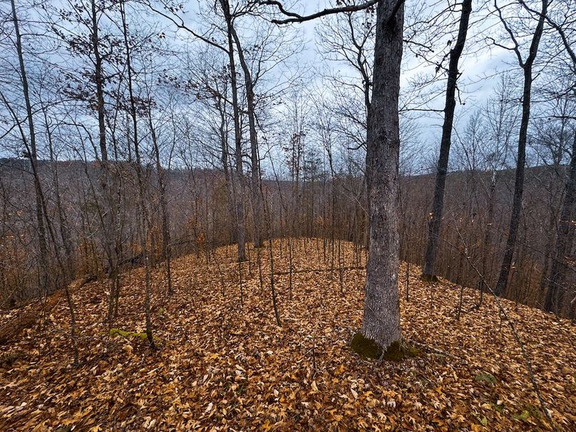 Ritchie, WV 100 AC Harper-10