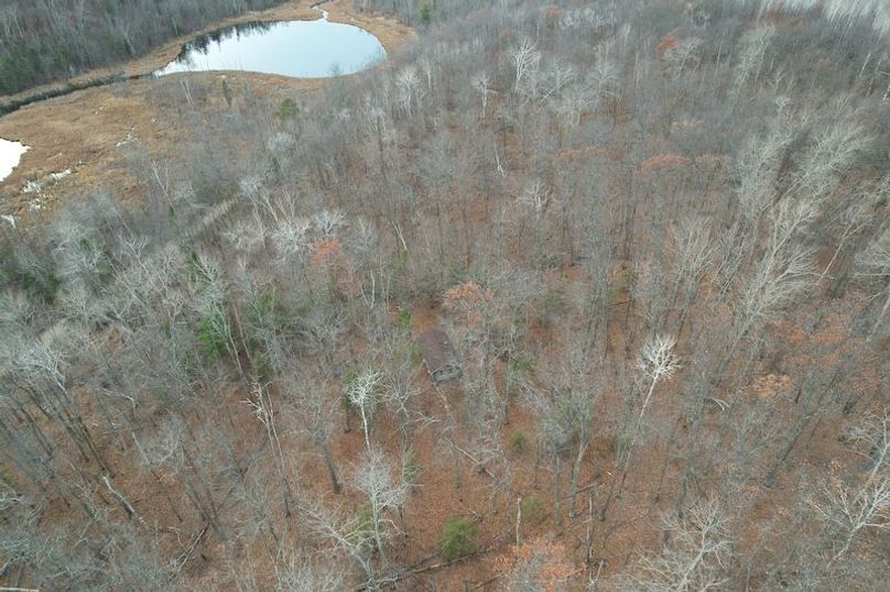 dji_fly_20251104_161124_13_1762294518234_photo