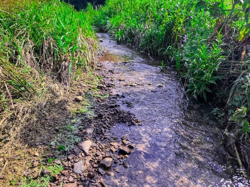 Lewis, WV 105 AC Miller-34