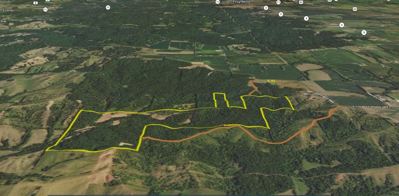 Screen Shot 2022-08-04 at 4.08.27 PM