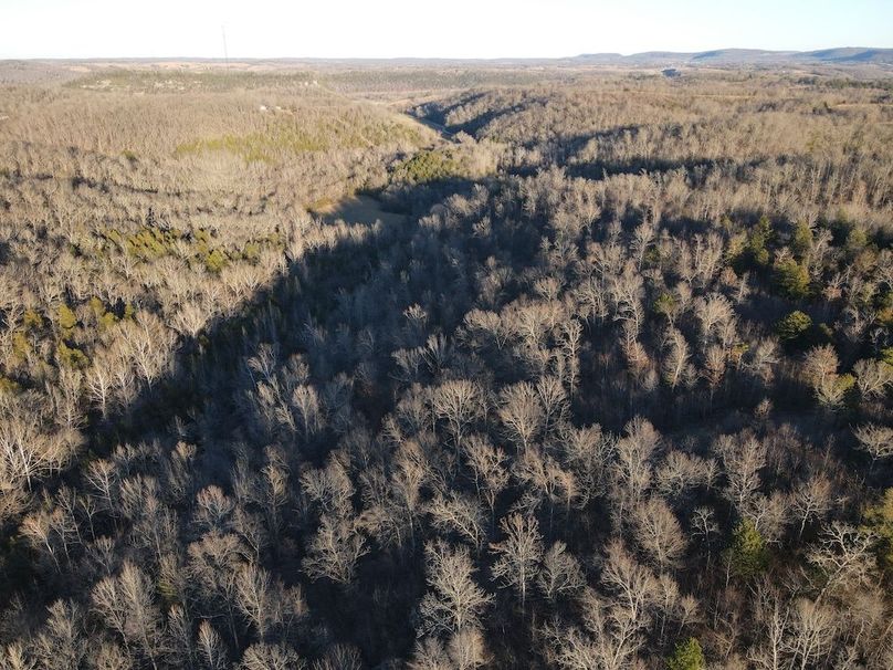 DJI_0305