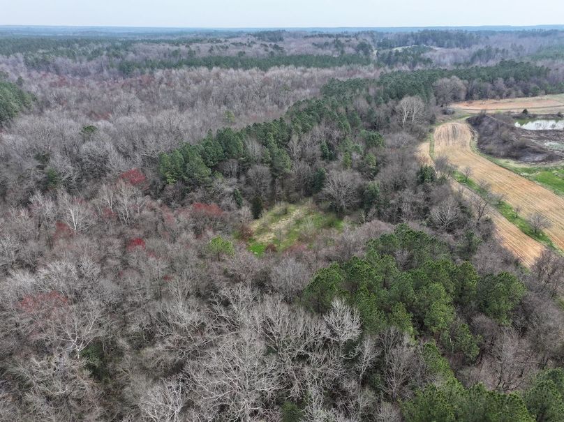 DJI_20240316122013_0021_D