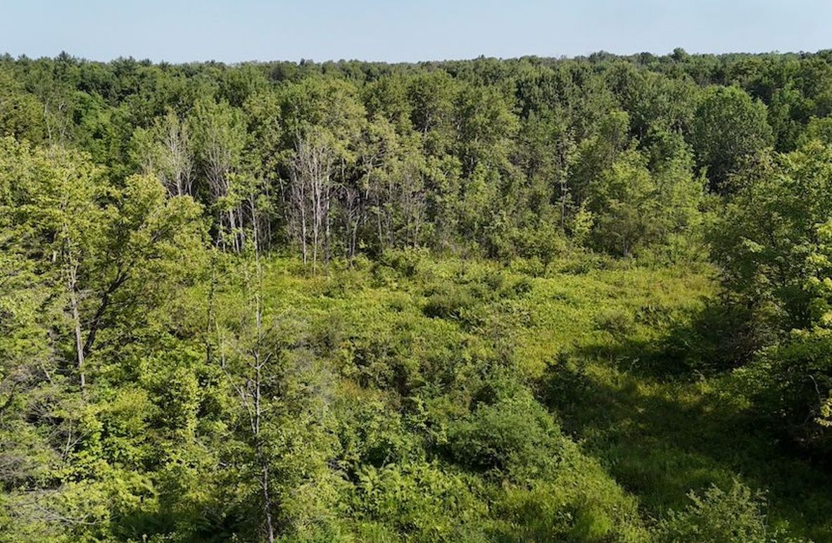 DJI_20250730104105_0323_D (1)