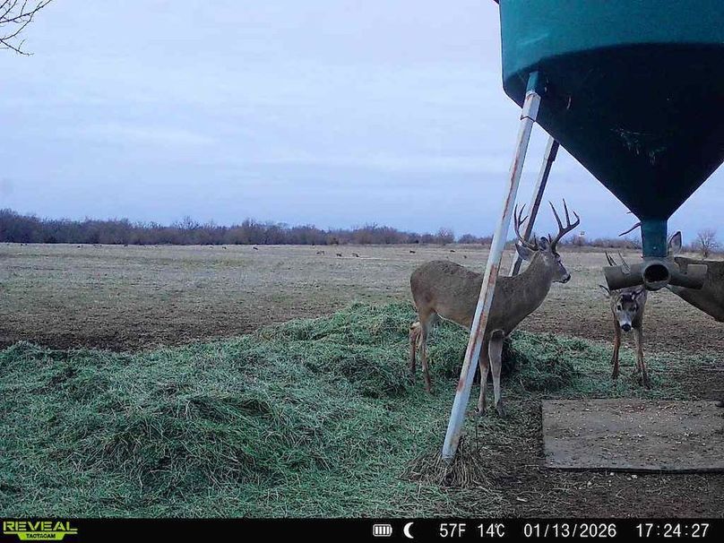 860516064952926-100-2-01132026172426-W1063366