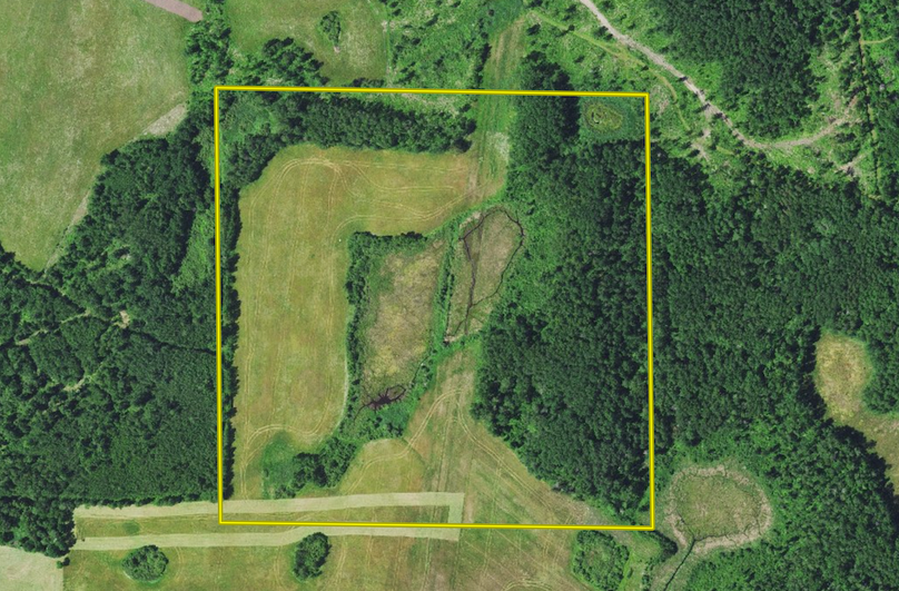 Screen Shot 2024-10-31 at 5.42.34 PM