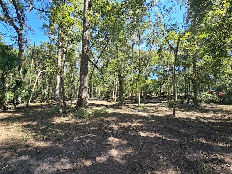 7.8ac, Citrus, Andrew Goering17