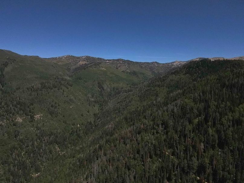 Copy of Photo_1080295642_DJI_218_jpg_4399754_0_202261415422_photo_original.jpg