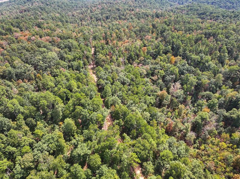 DJI_20250915125334_0640_D