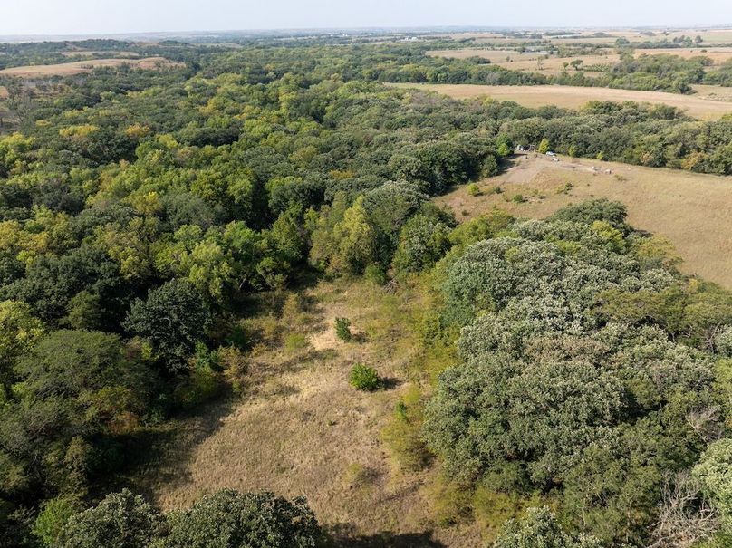 20240913-DJI_20240913105304_0112_D