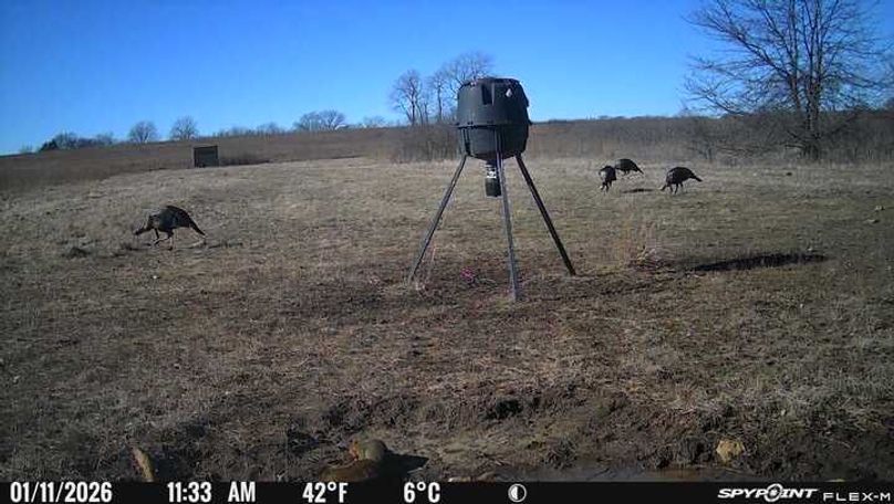 Trail Cam 9
