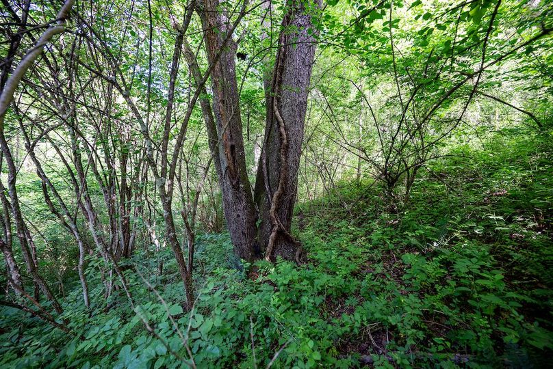 DSC_5582-Edit