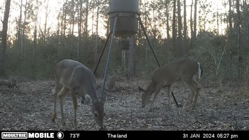 image638476367033910367