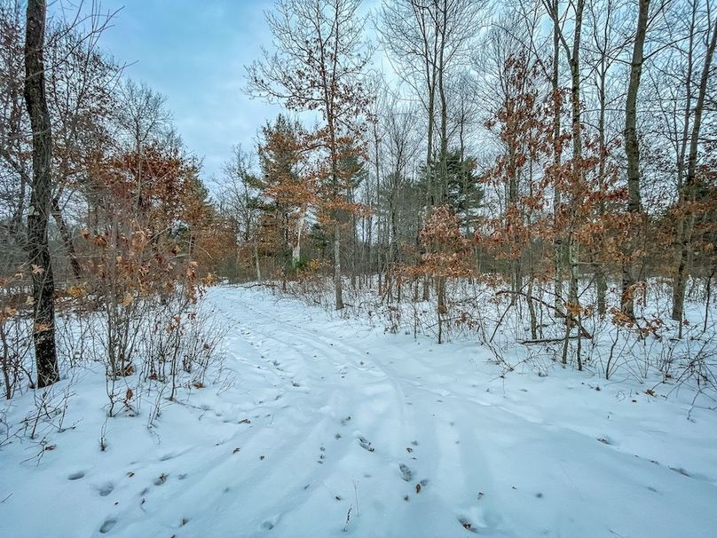 Adams 263.17, Hale -31