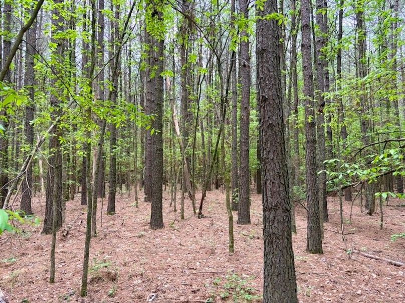 7011151E-1638-45E5-A14F-CE04B80A72D0_1_105_c