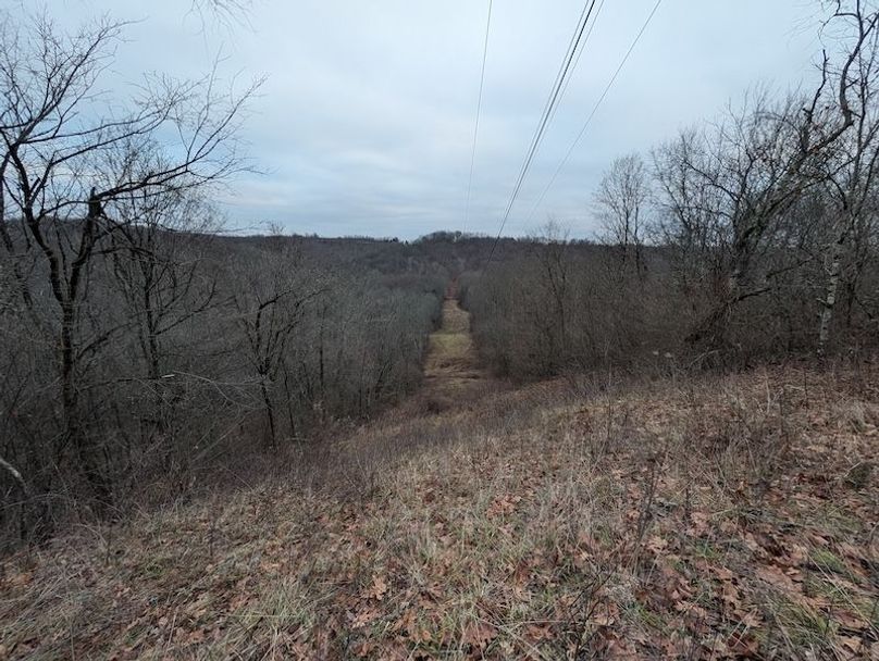 PXL_20260107_214933125