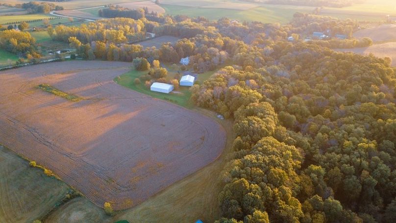 Stine 50 Drone Still-12