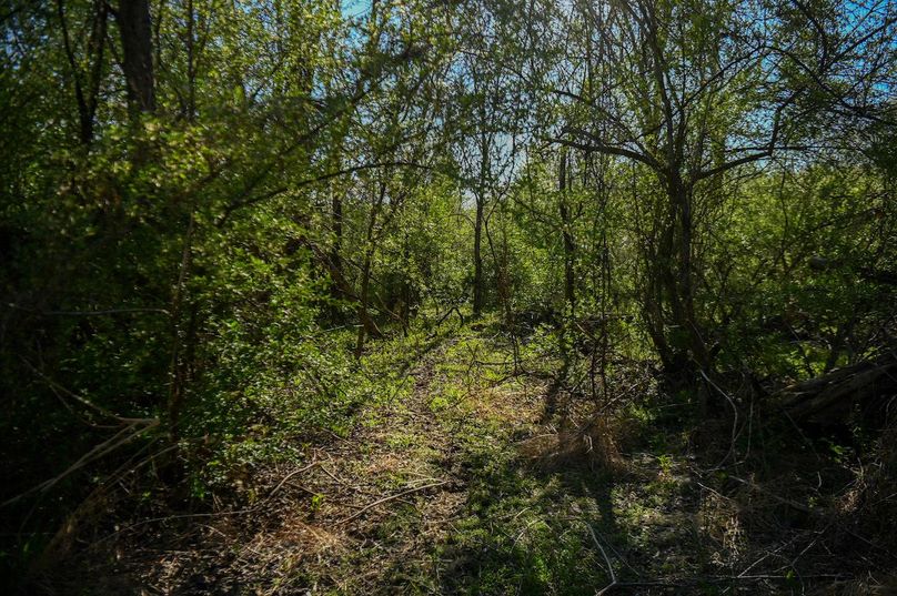 vandalia 450 (2)-2477