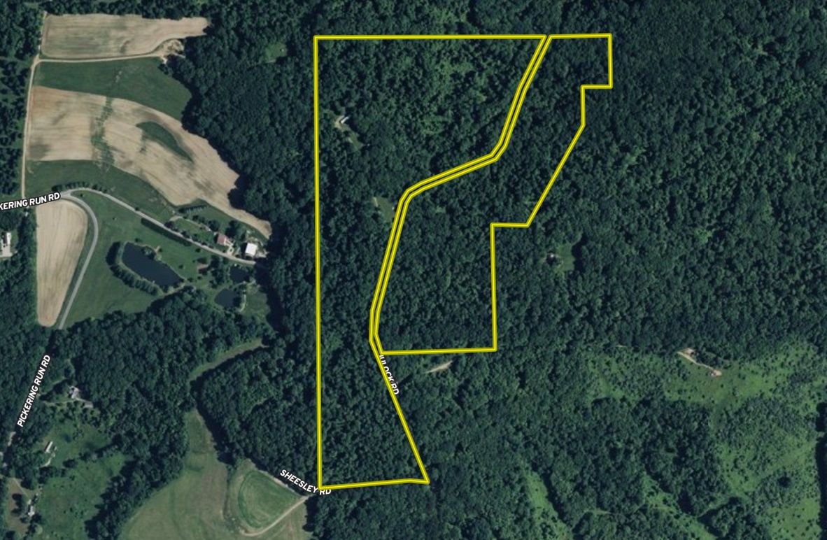 Screenshot 2025-11-24 104309