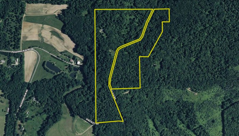 Screenshot 2025-11-24 104309