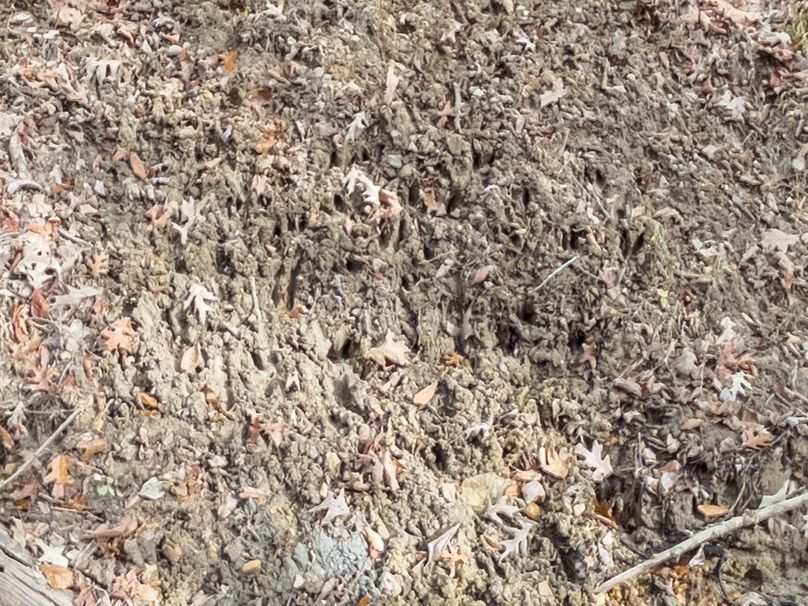 Yazoo Co - 75 - Batton-27