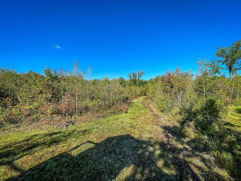 Wood 41.451, Collins -22