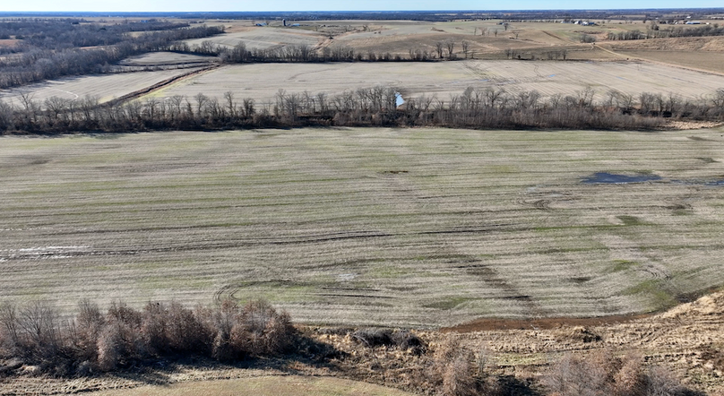 Copy of Screenshot 2025-12-23 at 12.16.04 PM