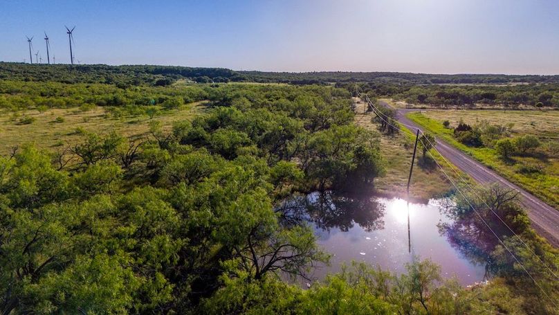 20.North Fenceline and pond