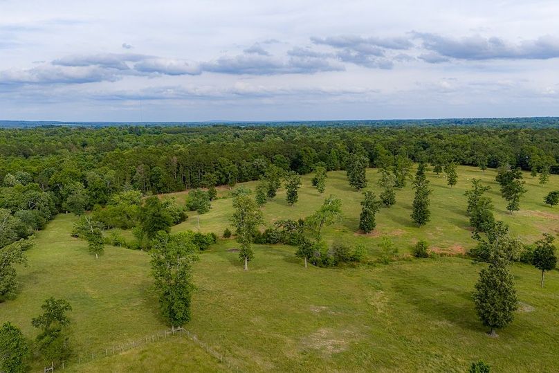 Holman Ranch-28