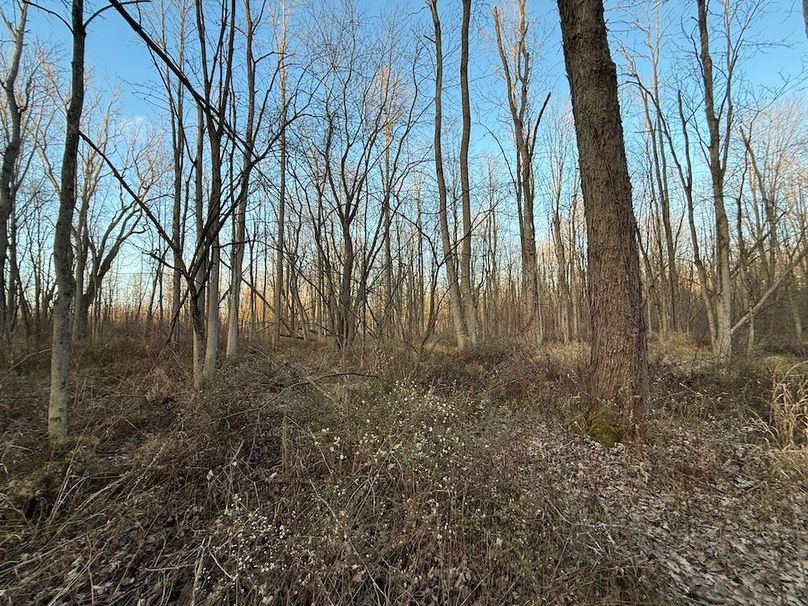 Wayne_29.09_BD_LandParcel_27