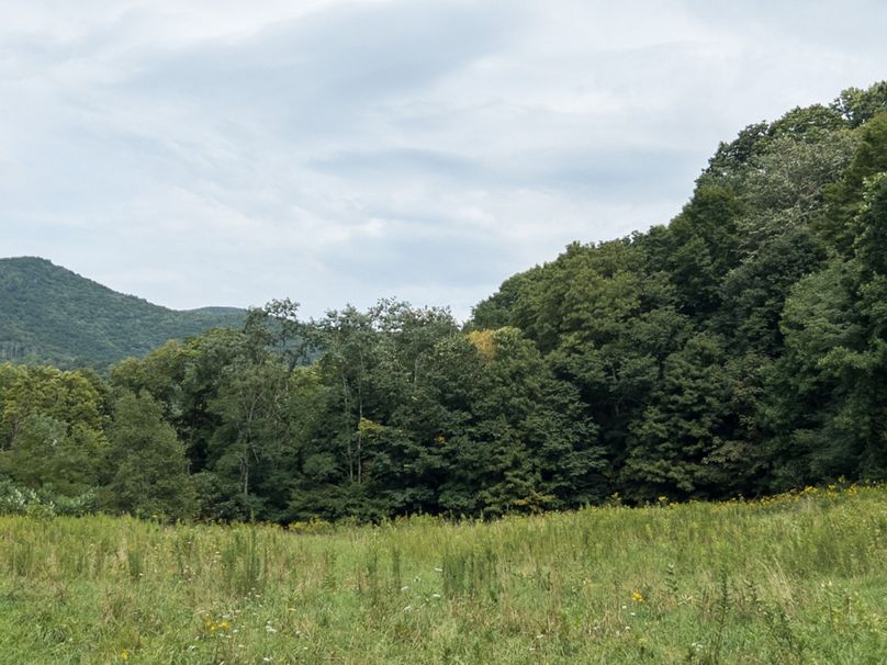 07_36.85_Pocahontas_WV