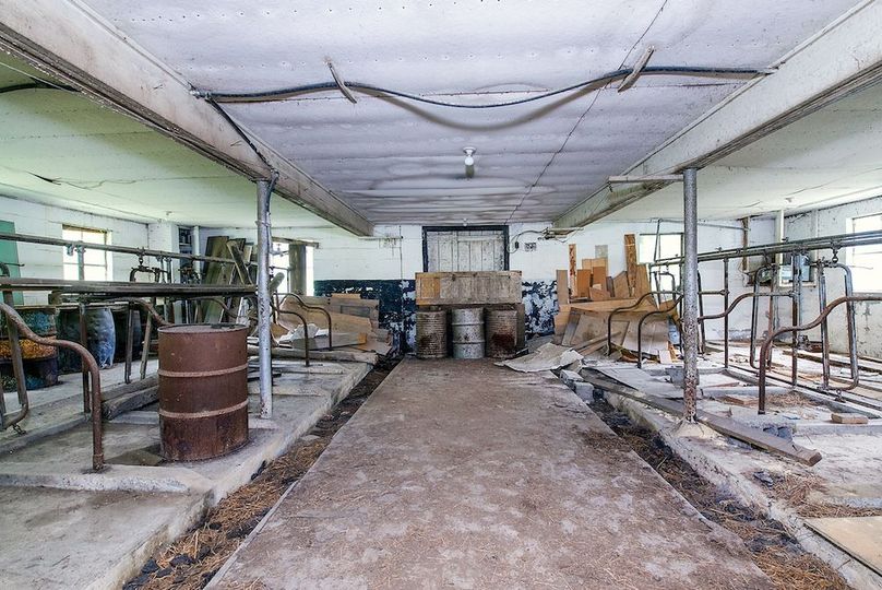 Copy of DSC_2287-Edit