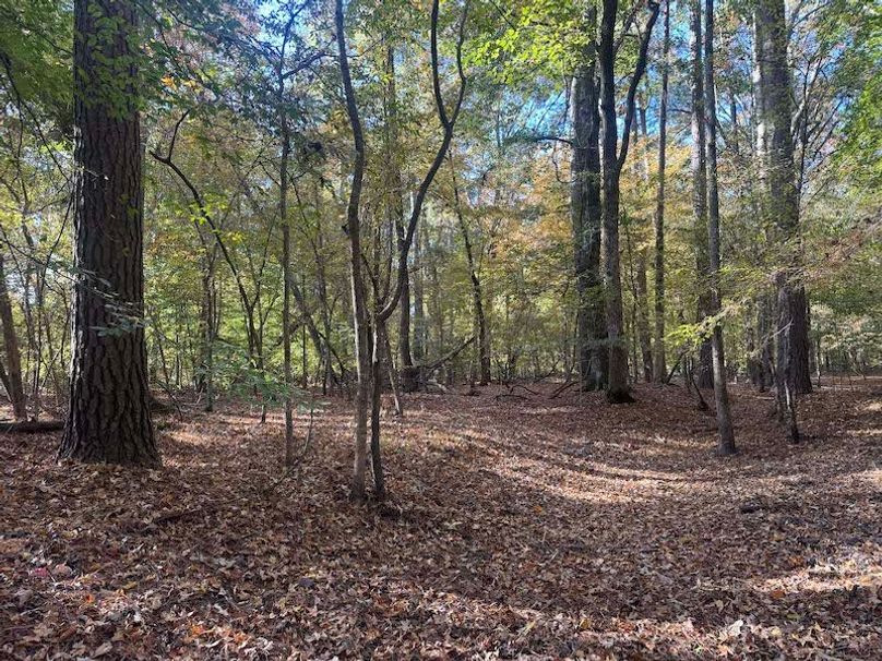 Jeff 11720251111_0213