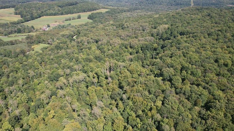 dji_fly_20240906_144304_621_1725648404910_photo